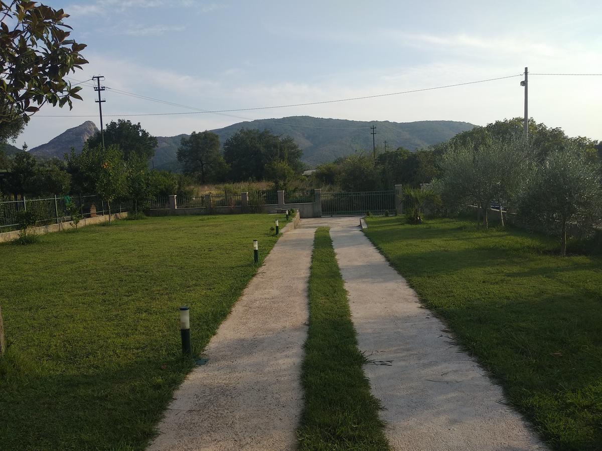 Guest House Radulovic Petrovac Buitenkant foto